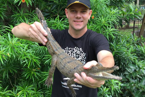 Home - Yeppoon Wildlife Sanctuary - Cooberrie Park Wildlife Sanctuary